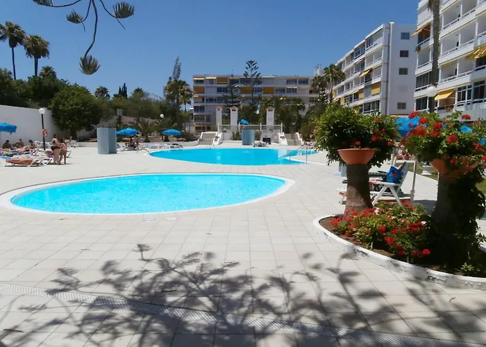 Aloe Friendly Playa del Ingles (Gran Canaria)